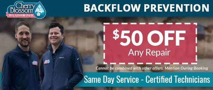 northern virginia BAckflow Prevention Cherry Blossom Plumbing