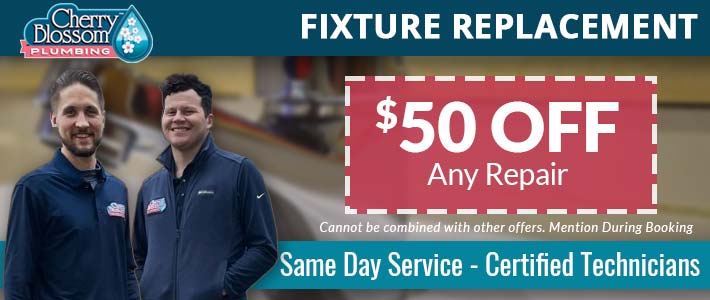 northern virginia fixture replacement Cherry Blossom Plumbing