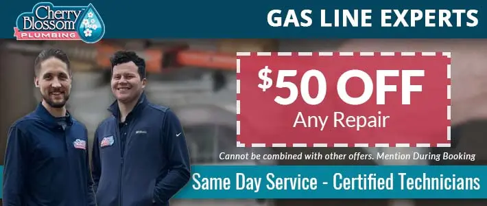 northern virginia gas lines Cherry Blossom Plumbing
