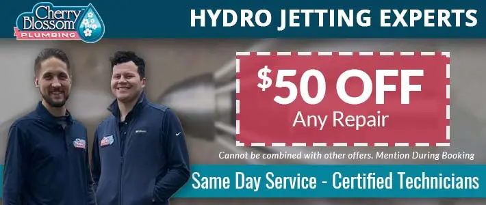 northern virginia Hydro Jetting Cherry Blossom Plumbing