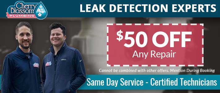northern virginia Leak Detection Cherry Blossom Plumbing