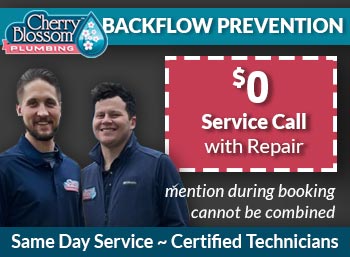 northern virginia Backflow Prevention Cherry Blossom Plumbing