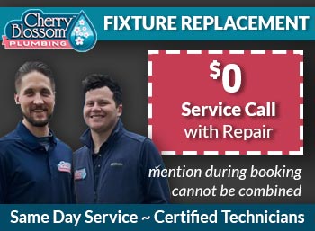 northern virginia fixture replacement Cherry Blossom Plumbing
