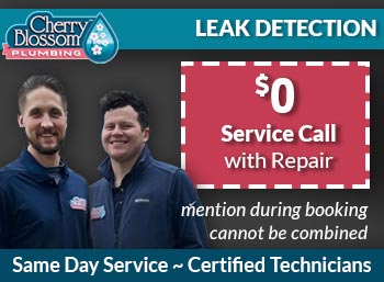 northern virginia Leak Detection Cherry Blossom Plumbing