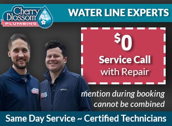 northern virginia water lines Cherry Blossom Plumbing