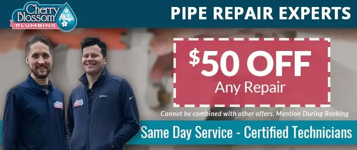 northern virginia pipe repair Cherry Blossom Plumbing