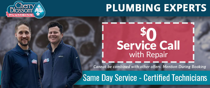 northern virginia Plumbing  Service Cherry Blossom Plumbing