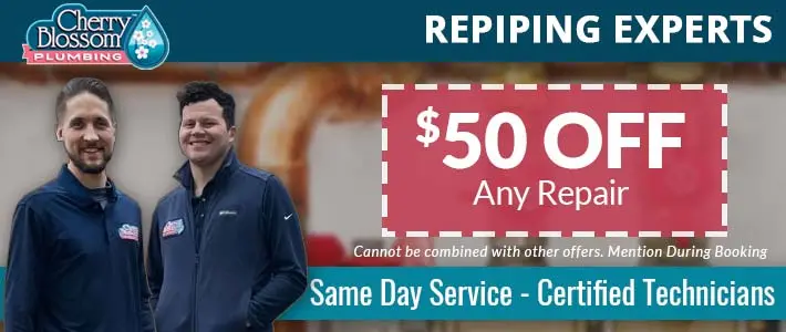 northern virginia Repiping Cherry Blossom Plumbing