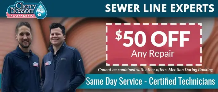 northern virginia Sewer Lines Cherry Blossom Plumbing