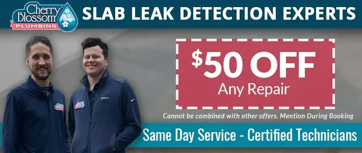 northern virginia Slab Leak DetecionCherry Blossom Plumbing
