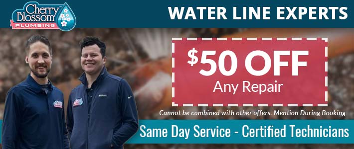northern virginia water lines Cherry Blossom Plumbing